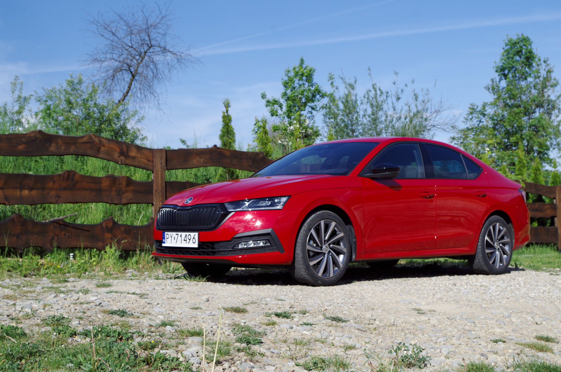 Skoda Octavia 1.0 TSI m-HEV 110 KM DSG Ambition